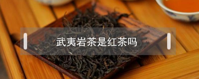 武夷岩茶是红茶吗（武夷岩茶红茶和武夷岩茶区别）