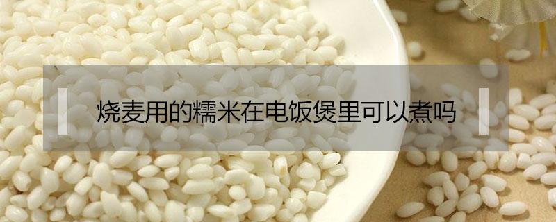 烧麦用的糯米在电饭煲里可以煮吗 做烧麦的糯米可以电饭煲煮熟吗