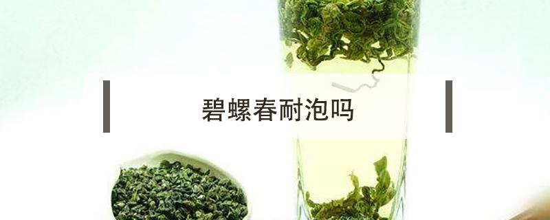 碧螺春耐泡吗（碧螺春能长时间泡吗）