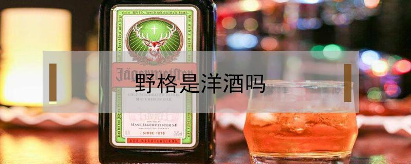 野格是洋酒吗（野格属于洋酒么）