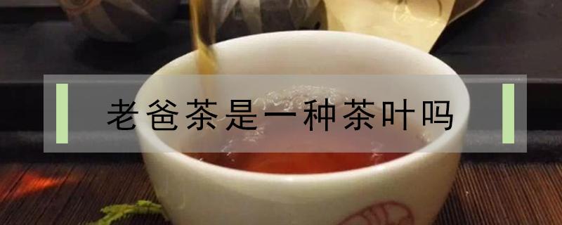 老爸茶是一种茶叶吗 老爸茶为什么叫老爸茶