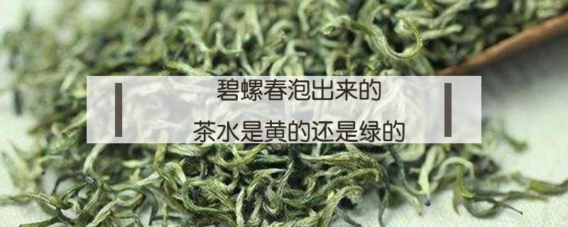 碧螺春泡出来的茶水是黄的还是绿的 碧螺春泡出来的茶水是黄的还是绿的好