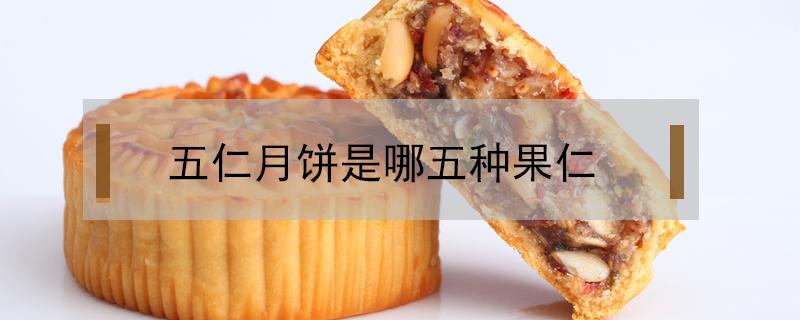 五仁月饼是哪五种果仁（果仁月饼是五仁月饼吗）