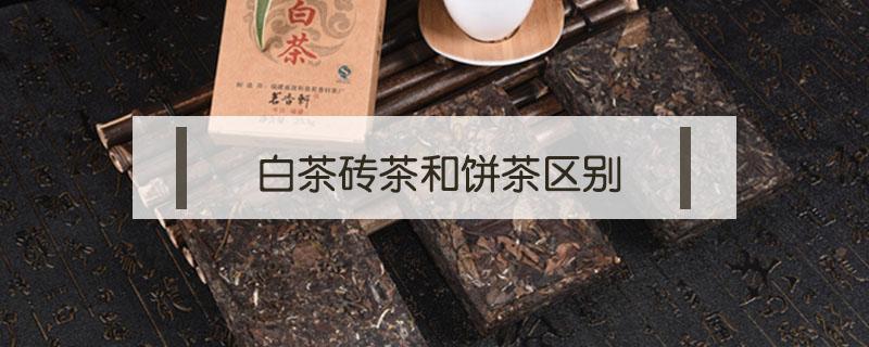 白茶砖茶和饼茶区别（白茶砖和白茶有何区别）