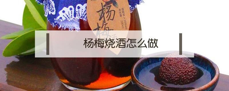 杨梅烧酒怎么做 杨梅烧酒的杨梅