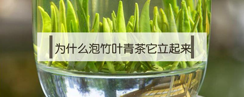 为什么泡竹叶青茶它立起来 竹叶青茶是不是竹子芽