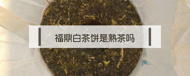 福鼎白茶饼是熟茶吗（福鼎老白茶是熟茶吗）