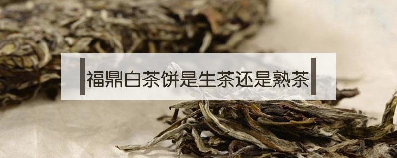 福鼎白茶饼是生茶还是熟茶 福鼎白茶是熟茶吗