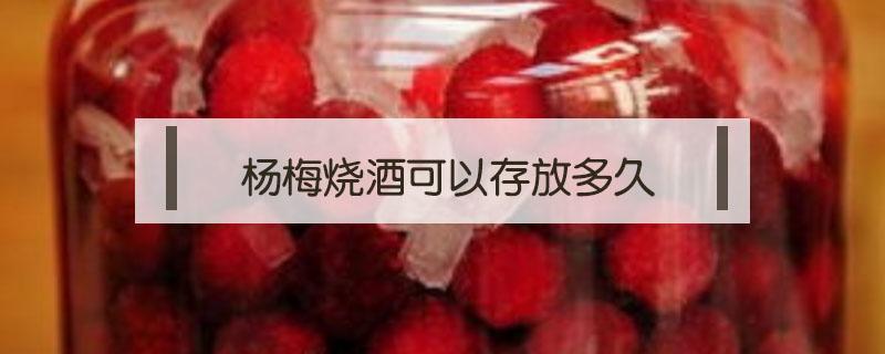 杨梅烧酒可以存放多久（杨梅烧酒能放多久）