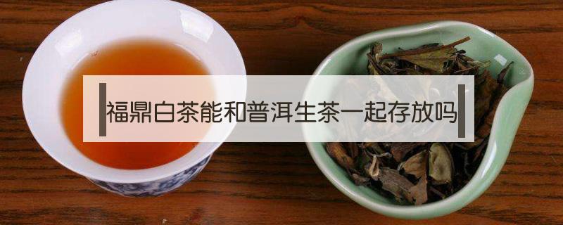 福鼎白茶能和普洱生茶一起存放吗（福鼎白茶能和普洱生茶一起存放吗知乎）