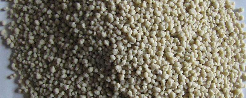 氮肥叶面肥有哪些，氮肥利用率 氮肥是叶面肥吗