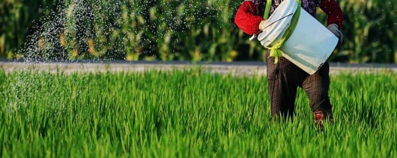 什么是复合肥，复合肥成分含量表 复合肥成分介绍