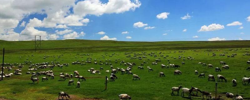 气候变暖对西北农牧业的影响（影响西北农业发展的因素）