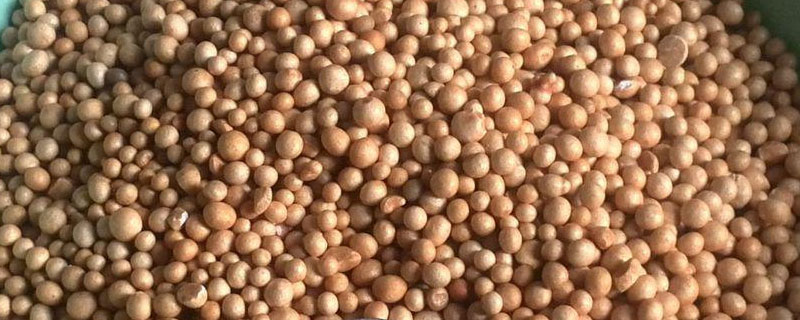 控释肥总养分高与低之间的差距 控释肥的缺点