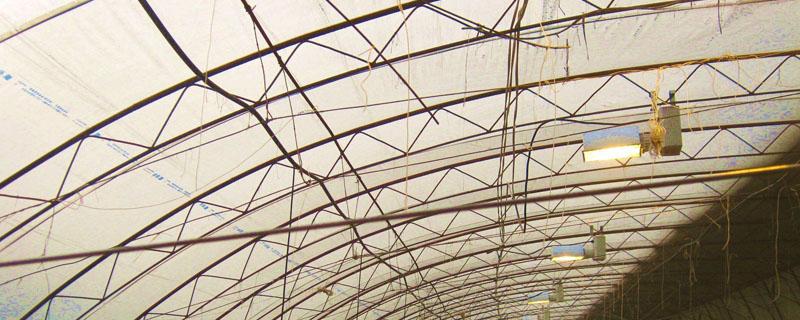 自制大棚补光灯 大棚补光灯安装图