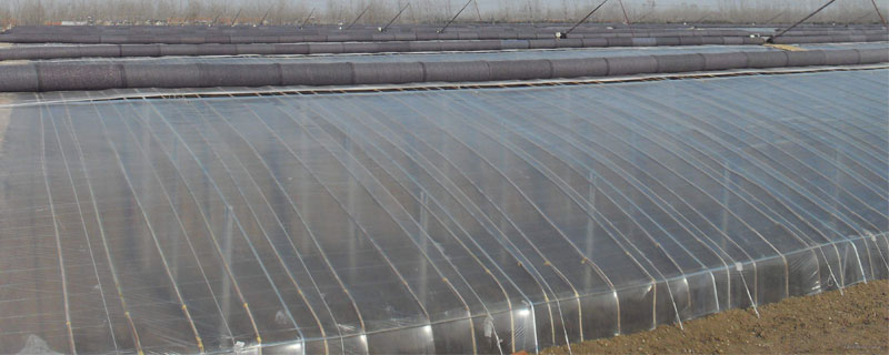 日光温室大棚的造价是多少 日光温室造价