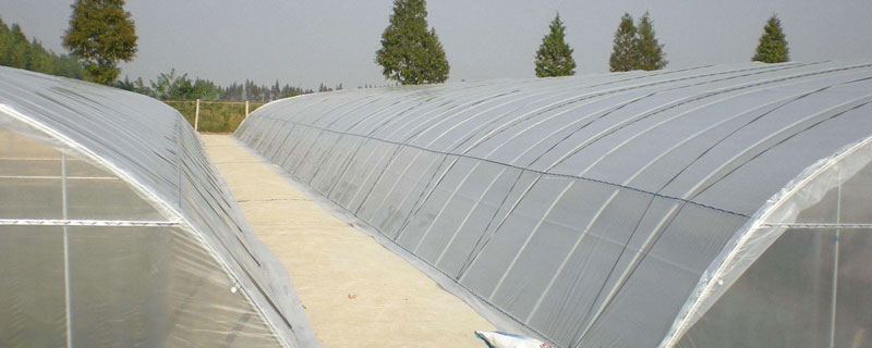 建设各类型温室大棚造价比较（温室养殖大棚造价）