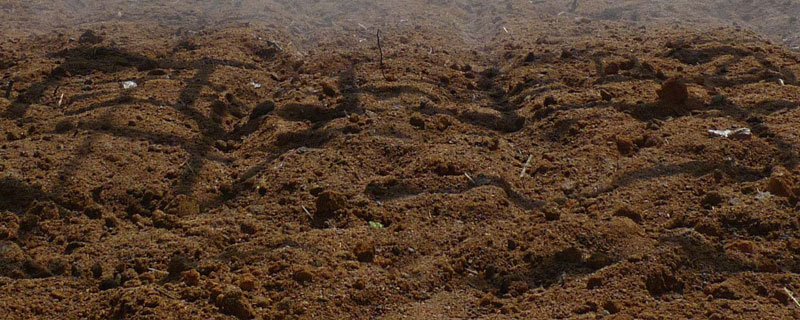 什么肥力填空动词 什么肥料填空动词