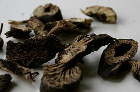 升麻（升麻用量多少克）