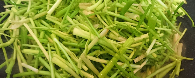 常见的野菜有哪些（常见的野菜有哪些?如何辨别?）