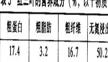 红三叶草的功效与作用（红三叶草的功效与作用及禁忌）