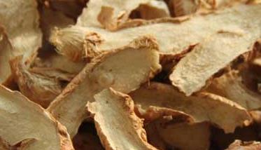 知母的食用方法 知母吃什么