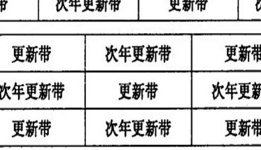 退化竹林块状更新改造方法 竹子林旧改