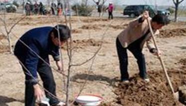 果园的深翻改土如何施行 苹果园的土壤为什么要进行深耕改土