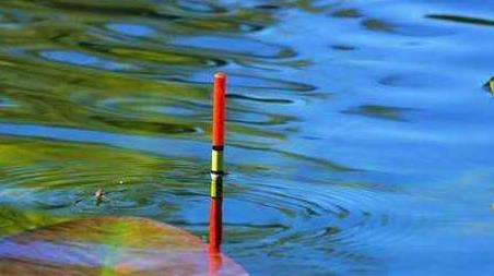 大幅度顶漂不上鱼是什么缘故 浮漂往上顶不上鱼是怎么回事