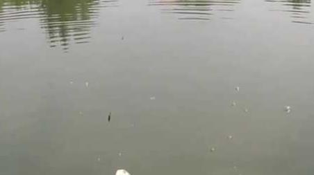 初夏钓鱼最佳时间是什么时候 初冬钓鱼的最佳时间是什么时候