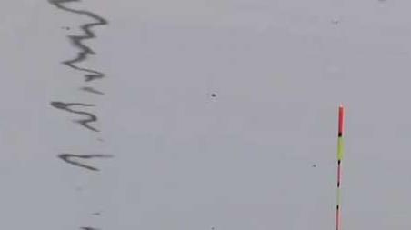 初夏钓鱼钓多深合适 初夏阴天钓鱼钓深还是钓浅