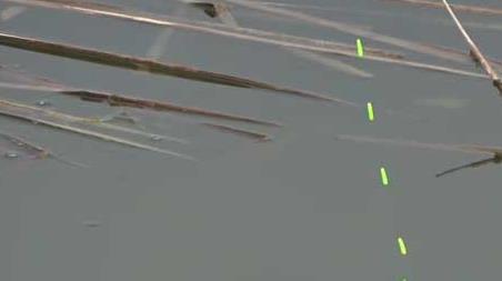 初秋钓鱼钓深水还是浅水（初春钓鱼钓深水还是浅水）