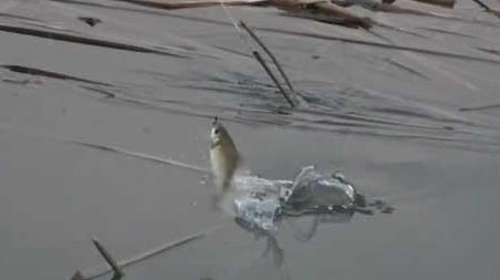 初秋钓鱼最佳时间是什么时候 初秋钓鱼的最佳时间是什么时候