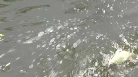 初秋下雨天气钓鱼好钓吗（初春阴雨天气好钓鱼吗）