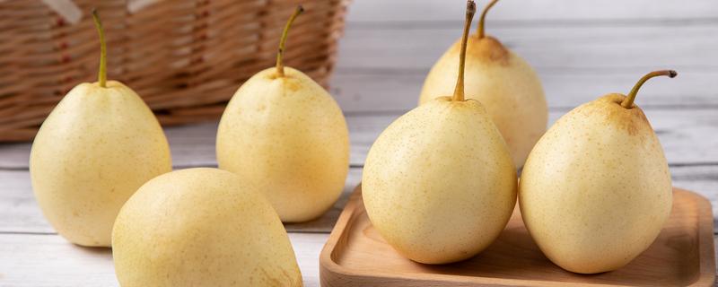 川贝炖雪梨是蒸还是直接煮水（川贝蒸雪梨要加水吗）