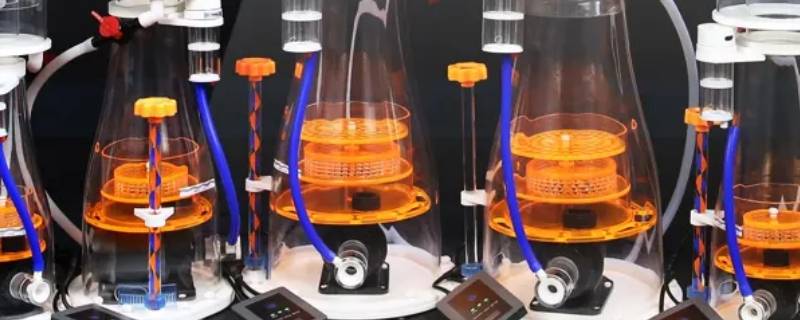 蛋分的作用（蛋分的作用是降低no2还是no3）