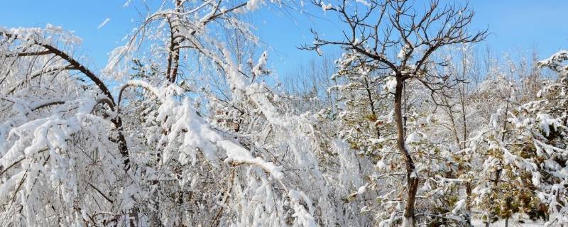 立春后下雪吗 立春还会不会下雪