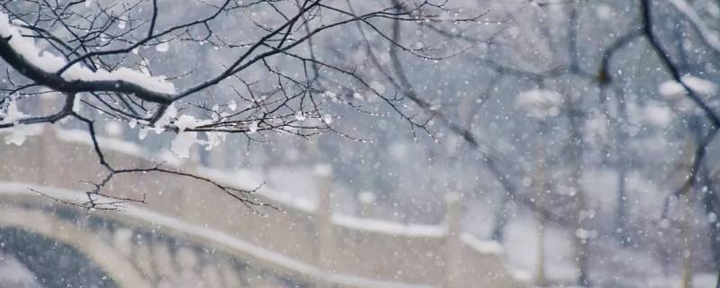 洁白无瑕的雪象征着什么 洁白无瑕能形容雪吗