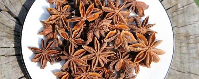 大料是八角吗 八角是大料嘛