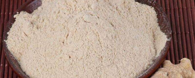 参粉是什么东西（参粉是什么东西,怎么用?）
