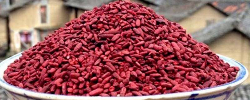 我国允许使用的天然色素有哪些（我国规定使用的天然色素）