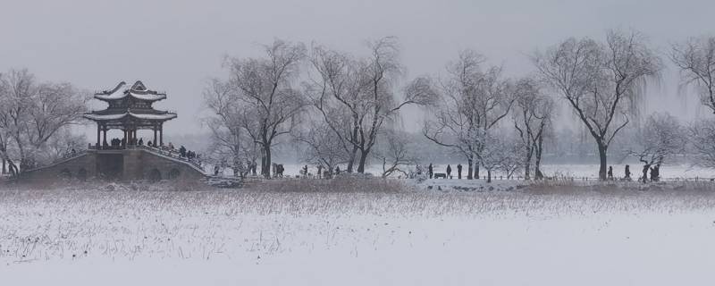 中雪能下多大（中雪是多大）