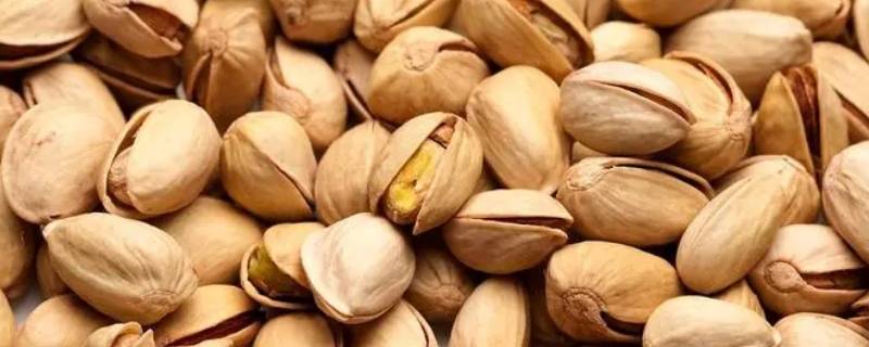 开心果潮了怎么让它变脆（怎样使开心果变干燥变脆）