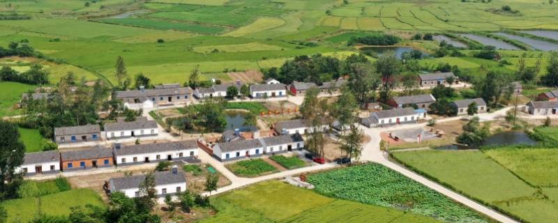 全椒为啥叫全椒 为什么叫全椒