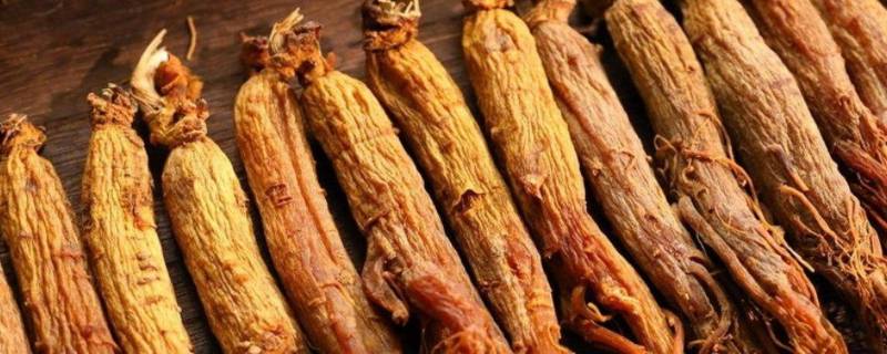 红参参头为什么要剪出来（怎样切红参）