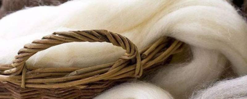 80支羊毛和100支羊毛区别（90支羊毛和120支羊毛区别）