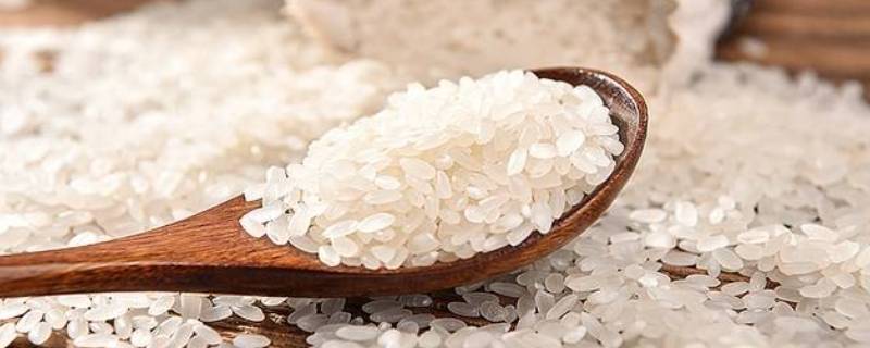 大米密度 大米的密度和水谁大