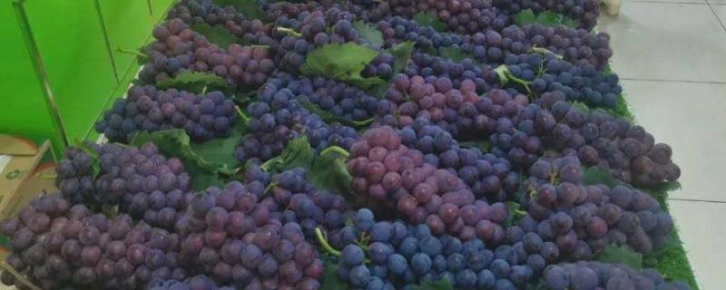 水果店里的葡萄像什么（水果店里的葡萄像什么比喻句）