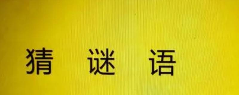 长生不老打一城市名 长生不老打一城市名称