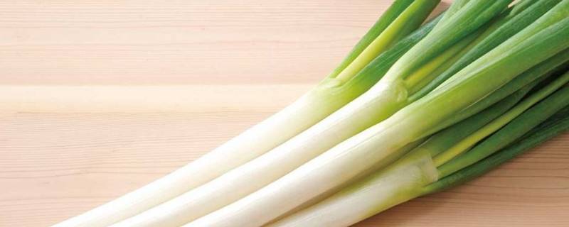 大葱晒几天才可以存放 葱晒几天能储存起来